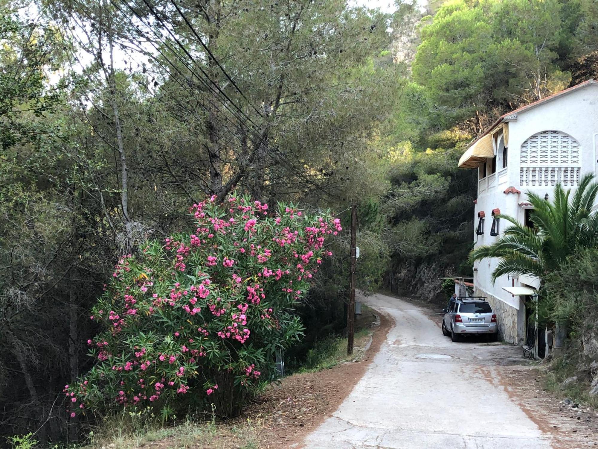 Almisera Villa Almiserat Luaran gambar